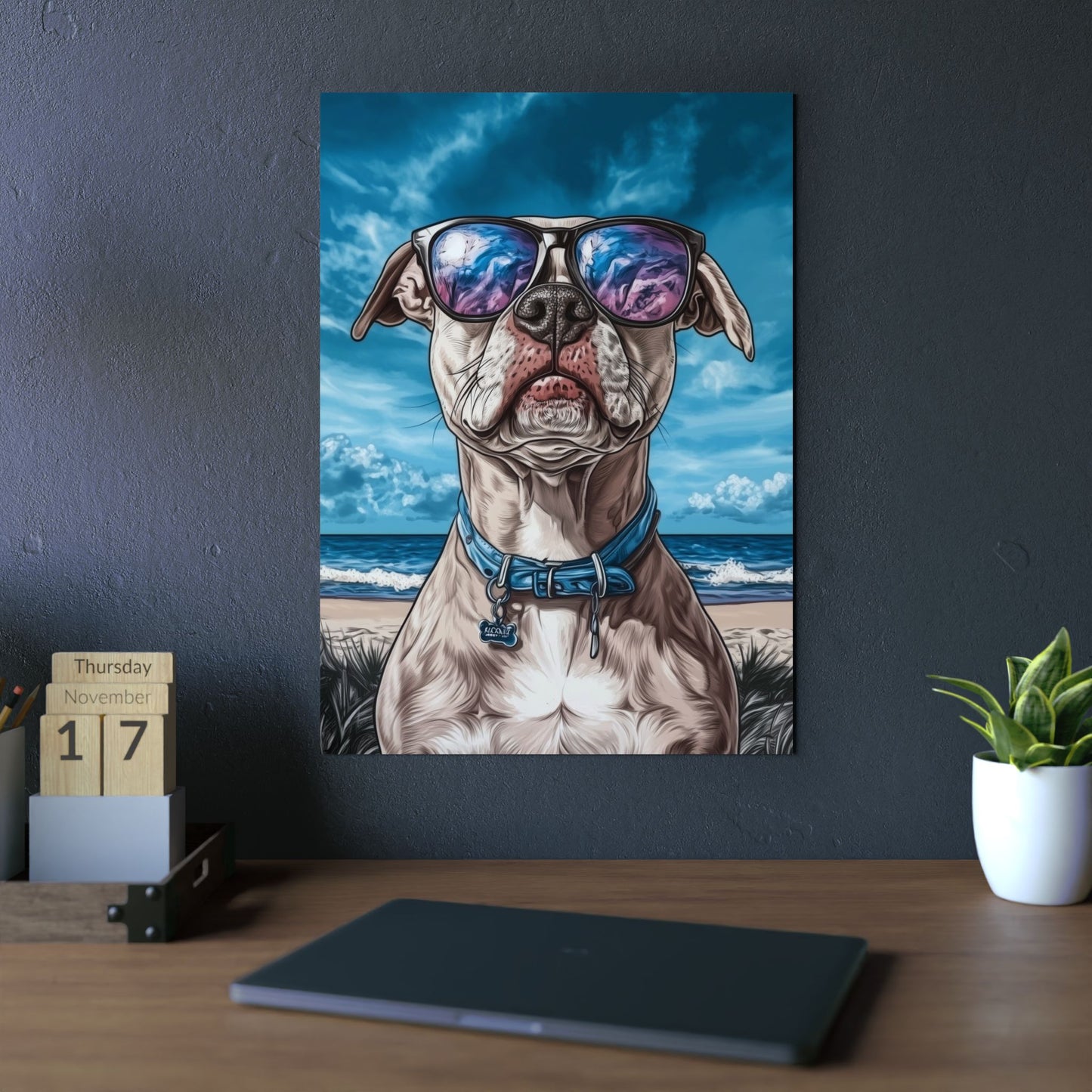 Chien American Staffordshire Terrier