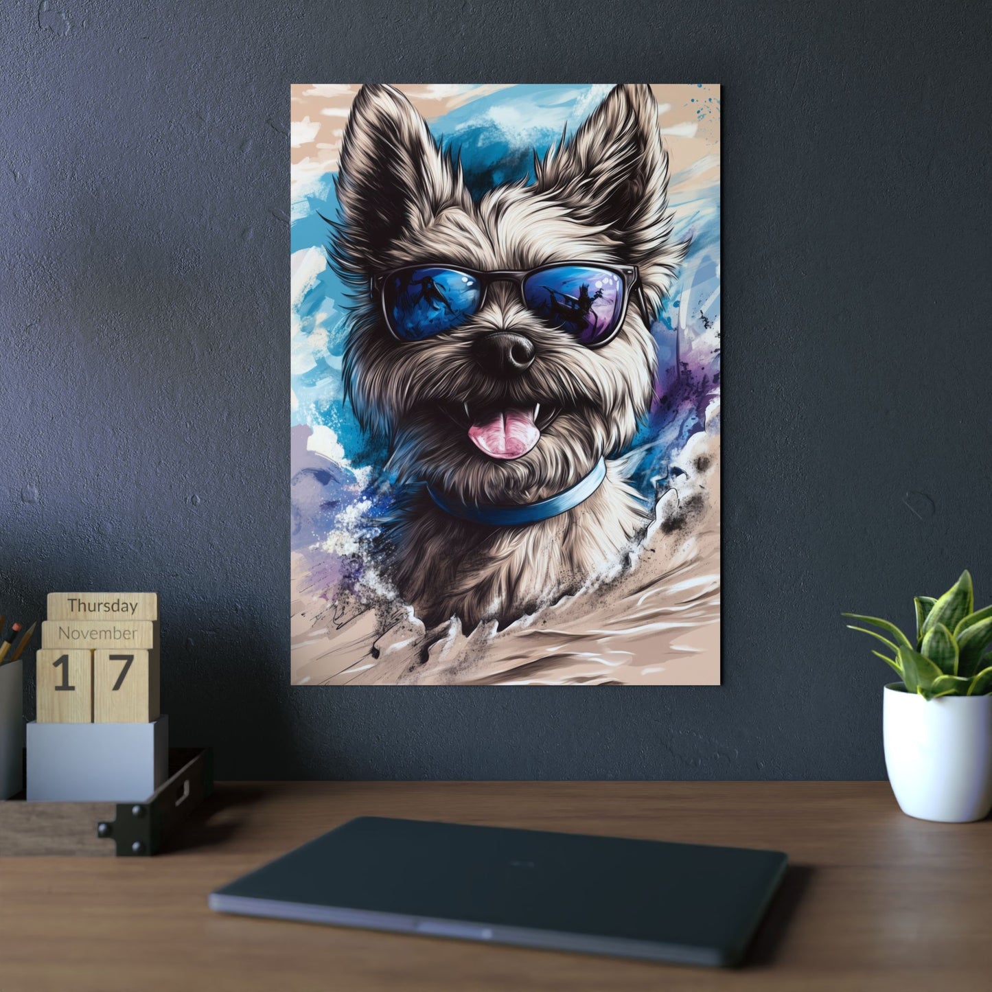 Chien Cairn Terrier