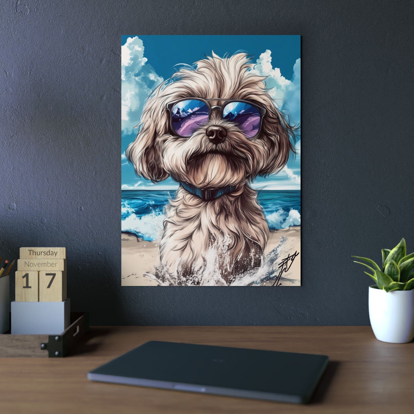 Chien Bichon Havanais