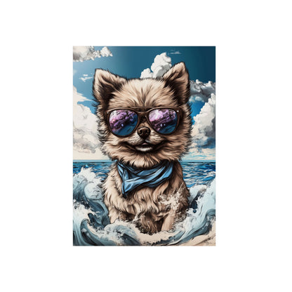 Chien Spitz nain