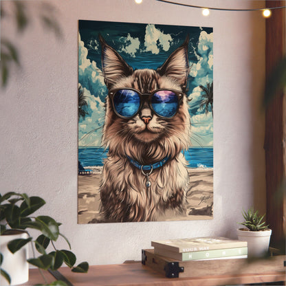 Chat Maine Coon