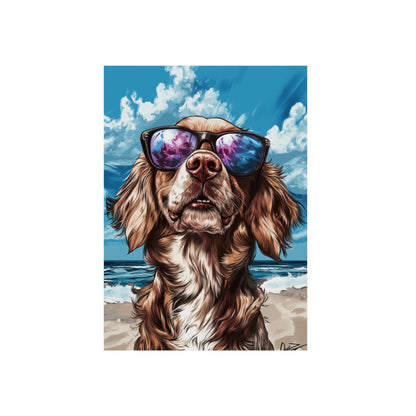 Chien Epagneul Breton
