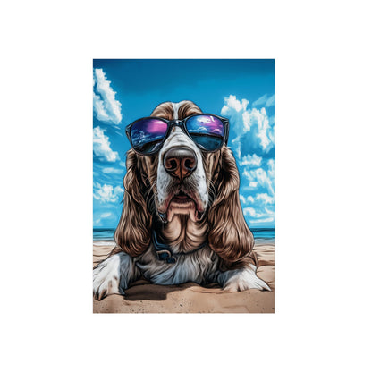 Chien Basset Hound