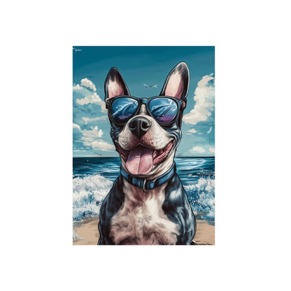 Chien Bull Terrier