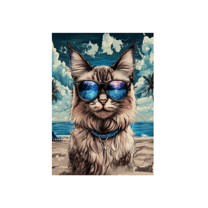 Chat Maine Coon