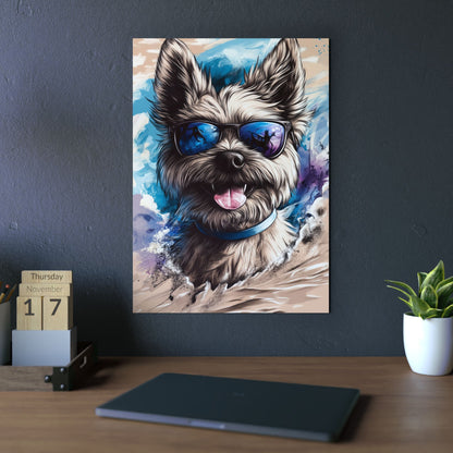 Chien Cairn Terrier