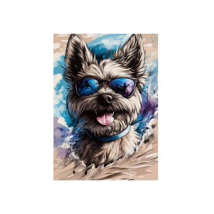 Chien Cairn Terrier