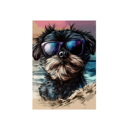 Chien Affenpinscher