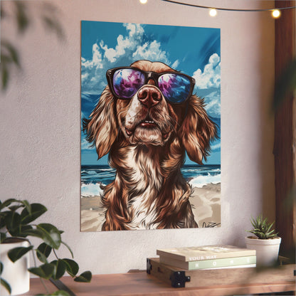 Chien Epagneul Breton