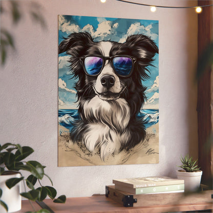 Chien Border Collie