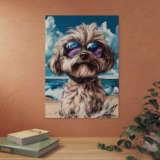 Chien Bichon Havanais