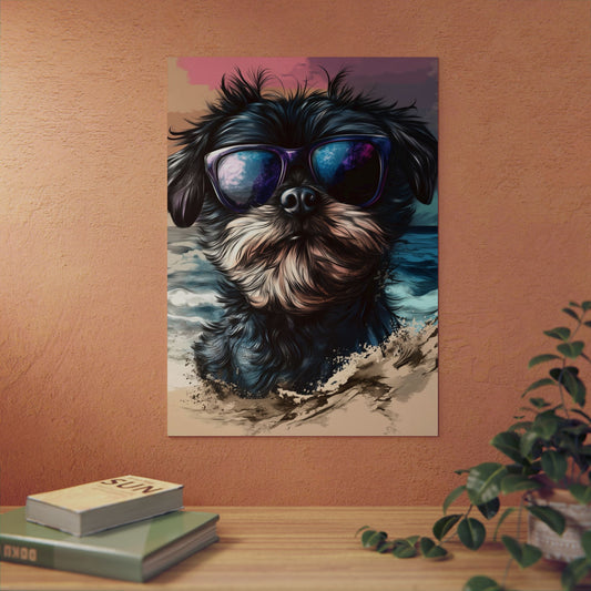 Chien Affenpinscher
