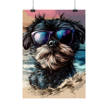 Chien Affenpinscher