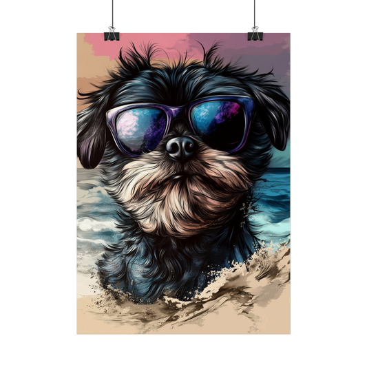 Chien Affenpinscher
