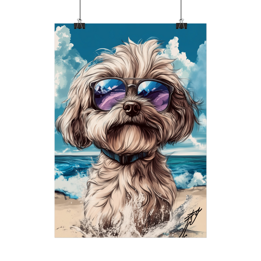 Chien Bichon Havanais